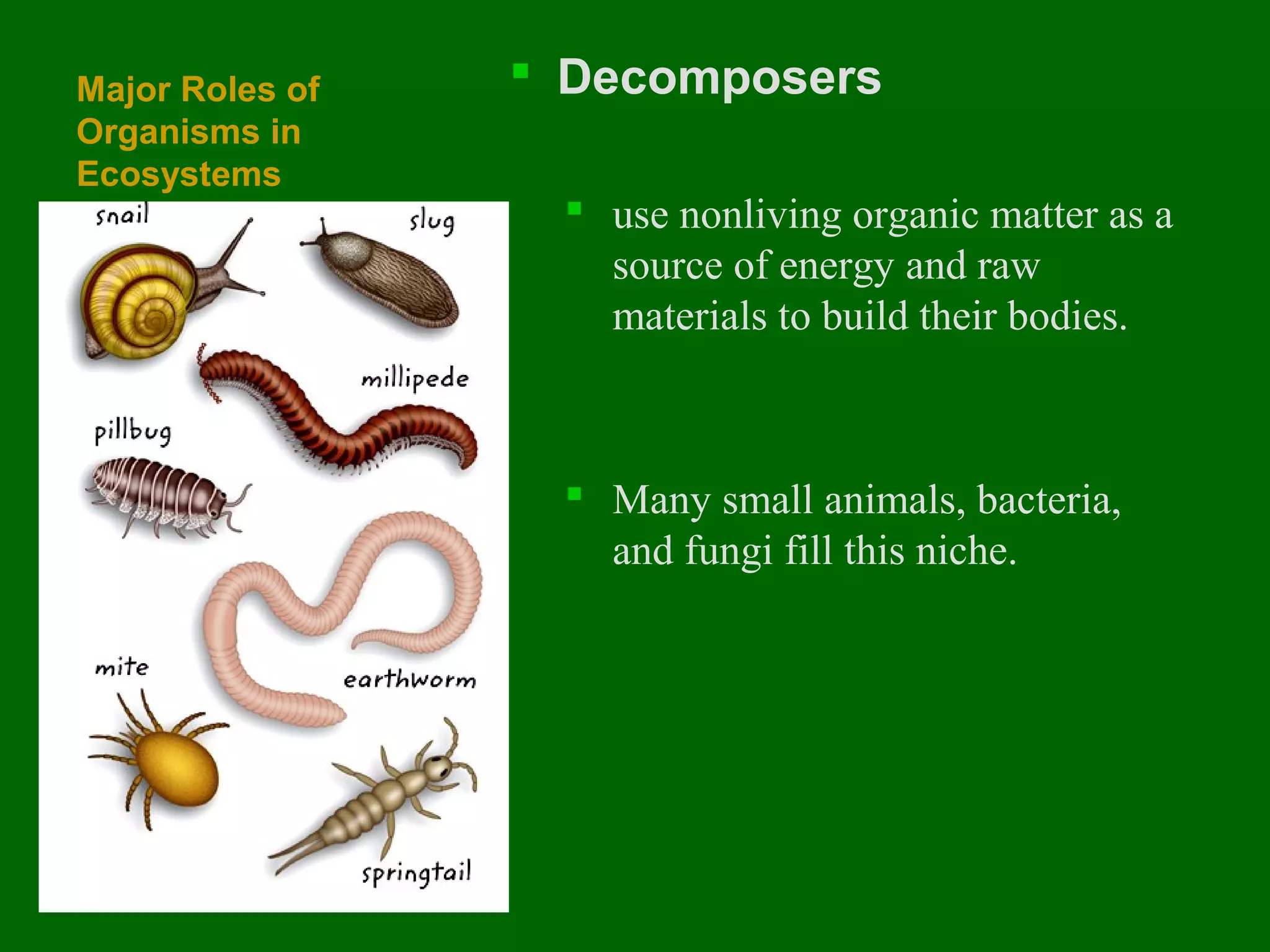 Major Roles of
Organisms in
Ecosystems

 Decomposers
 use nonliving organic matter as a
source of energy and raw
materials to build their bodies.

 Many small animals, bacteria,
and fungi fill this niche.

 
