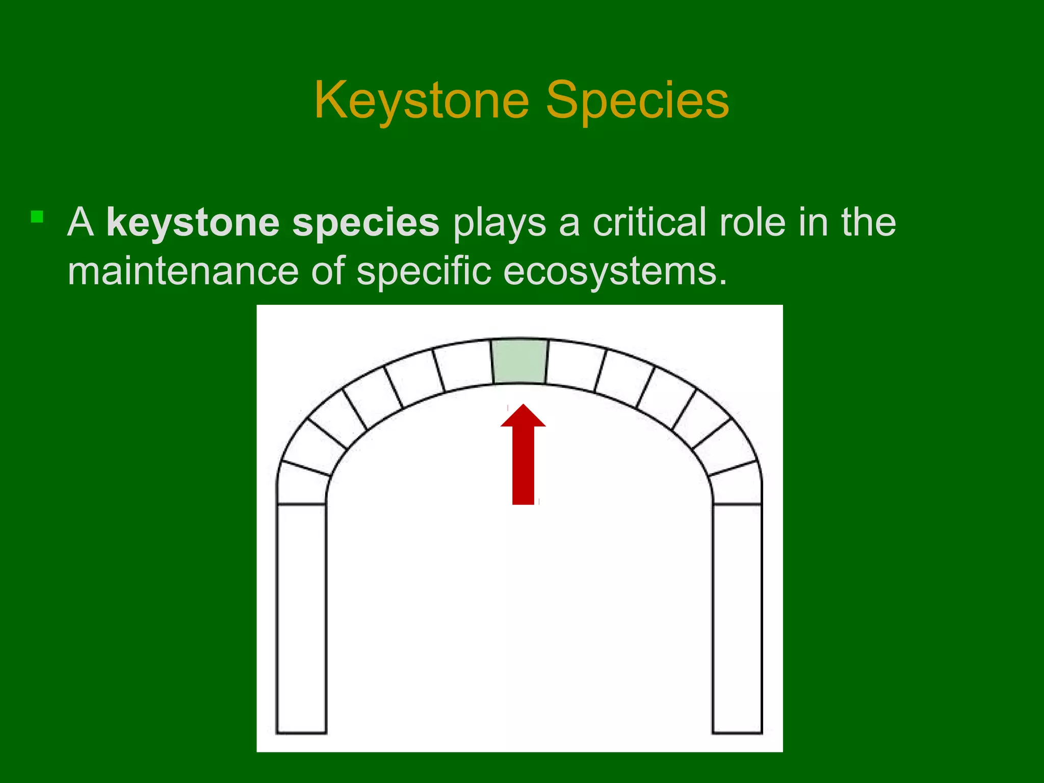 Keystone Species
 A keystone species plays a critical role in the
maintenance of specific ecosystems.

 