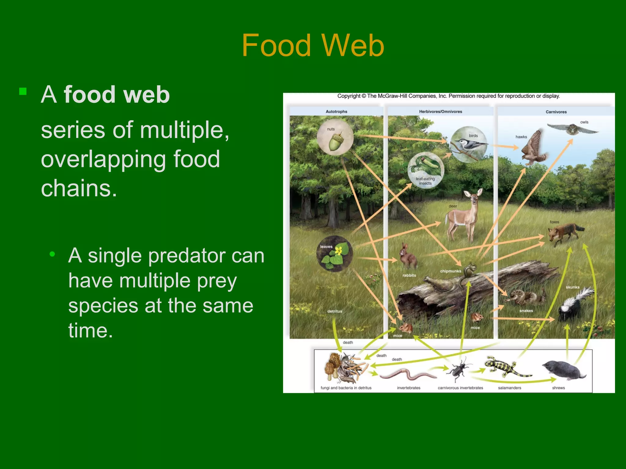 Food Web
 A food web
series of multiple,
overlapping food
chains.
• A single predator can
have multiple prey
species at the same
time.

 