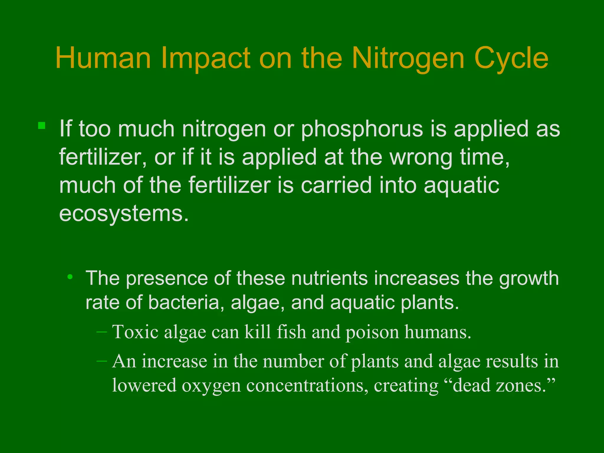 Human Impact on the Nitrogen Cycle
 If too much nitrogen or phosphorus is applied as
fertilizer, or if it is applied at the wrong time,
much of the fertilizer is carried into aquatic
ecosystems.
• The presence of these nutrients increases the growth
rate of bacteria, algae, and aquatic plants.
– Toxic algae can kill fish and poison humans.
– An increase in the number of plants and algae results in
lowered oxygen concentrations, creating “dead zones.”

 