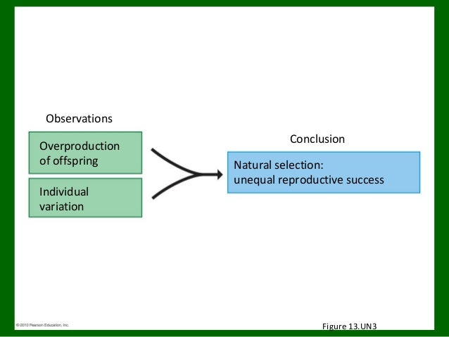 Natural Selection Variation Within Species Natural Selection Variation Within Species