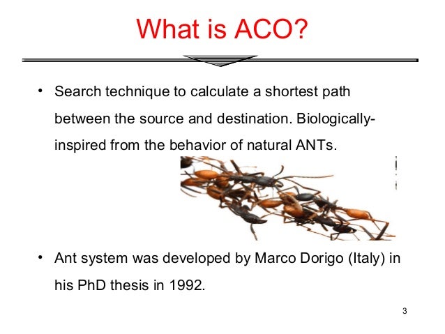 Ant colony optimization phd thesis