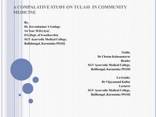 A COMPALATIVE STUDY ON TULASI IN COMMUNITY
MEDICINE
By,
Dr. Jeevankumar A Gadage
1st Year M.D.(Ayu)
P.G.Dept. of Svasthavritta
SGV Ayurvedic Medical College,
Bailahongal, Karnataka 591102
Guide,
Dr Chetan Kalasannavar
Reader
SGV Ayurvedic Medical College,
Bailhongal, Karnataka 591102
Co-Guide:
Dr Vijayanand Kallur
Lecturer
SGV Ayurvedic Medical College,
Bailhongal ,Karnataka 591102
 