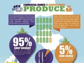 A Comparison between Commercially Farmed and Home Grown Produce