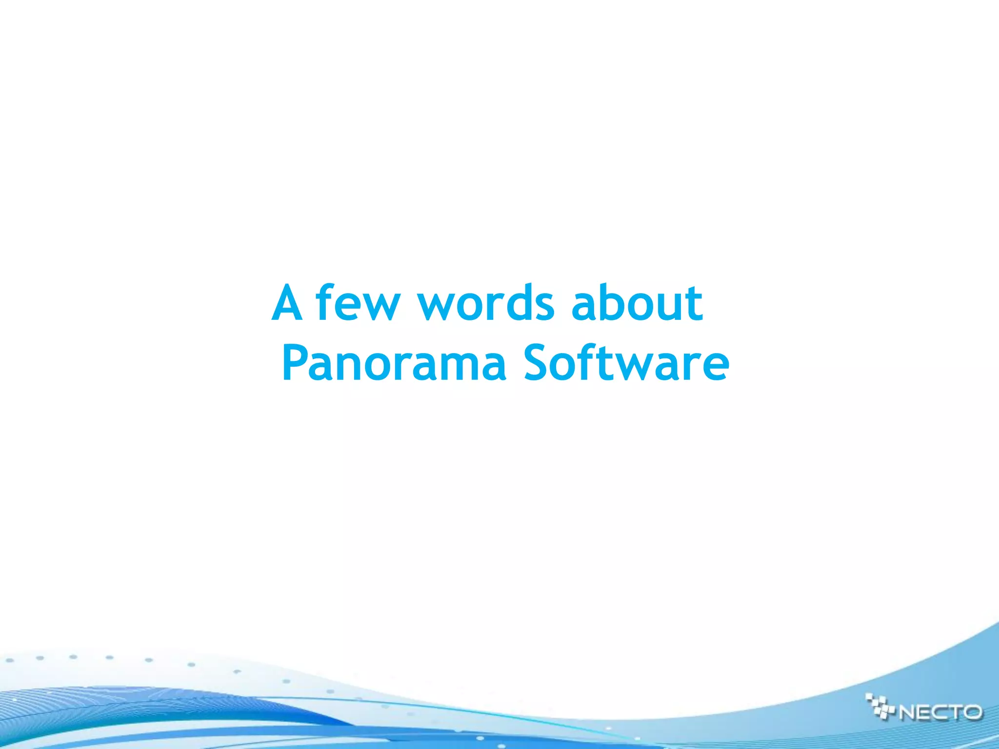 A few words about
Panorama Software
 
