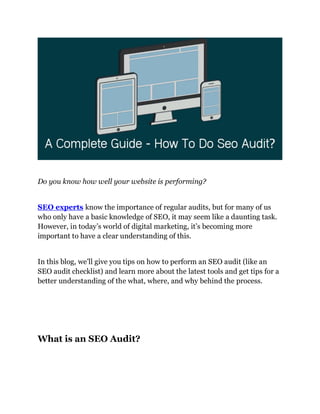 A Complete Guide - How To Do Seo Audit.pdf