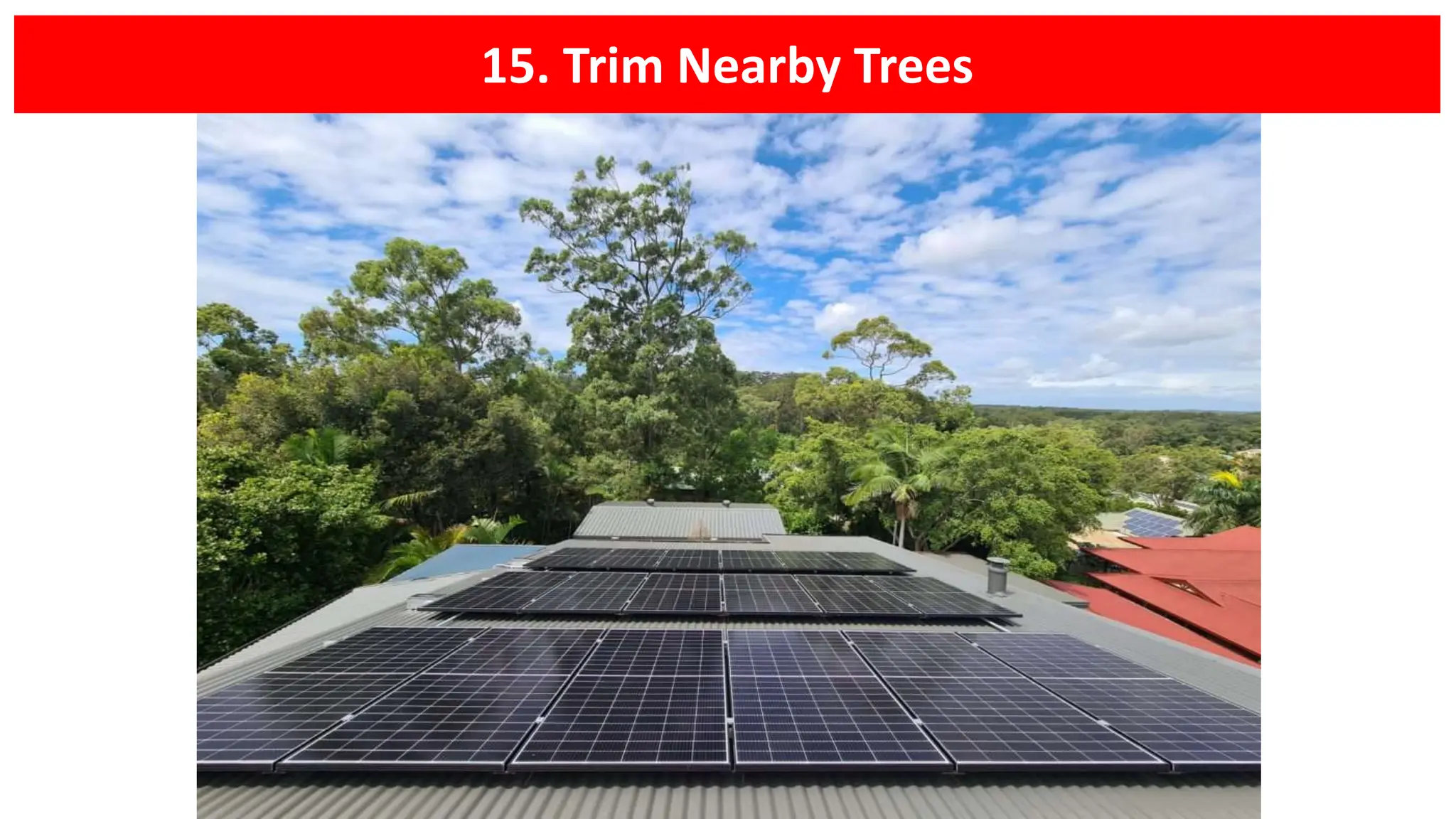 15. Trim Nearby Trees