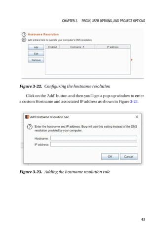 43
Click on the ‘Add’ button and then you’ll get a pop-up window to enter
a custom Hostname and associated IP address as shown in Figure 3-23.
Figure 3-23. Adding the hostname resolution rule
Figure 3-22. Configuring the hostname resolution
Chapter 3 Proxy, User Options, and Project Options
 