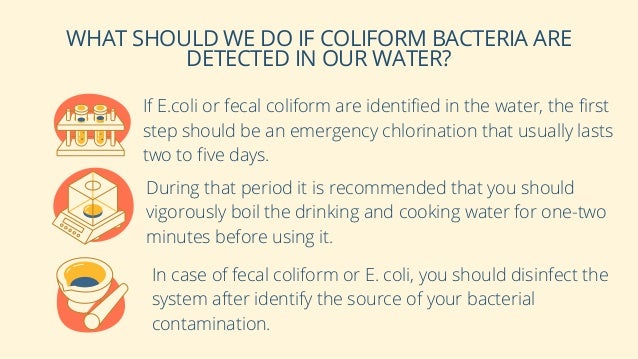 WHAT SHOULD WE DO IF COLIFORM BACTERIA ARE
DETECTED IN OUR WATER?
If E.coli or fecal coliform are identified in the water, the first
step should be an emergency chlorination that usually lasts
two to five days.
During that period it is recommended that you should
vigorously boil the drinking and cooking water for one-two
minutes before using it.
In case of fecal coliform or E. coli, you should disinfect the
system after identify the source of your bacterial
contamination.
 