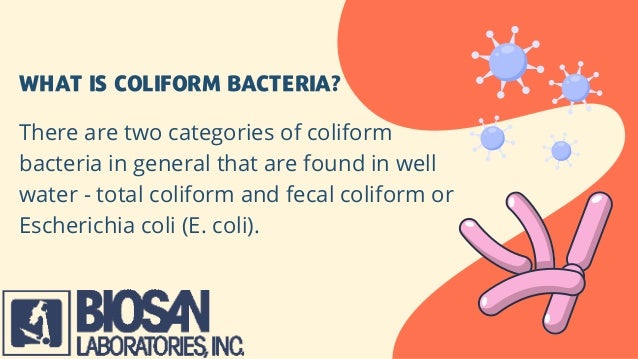 WHAT IS COLIFORM BACTERIA?
There are two categories of coliform
bacteria in general that are found in well
water - total coliform and fecal coliform or
Escherichia coli (E. coli).
 