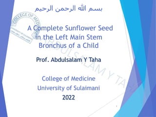 ‫الرحيم‬ ‫الرحمن‬ ‫هللا‬ ‫بسم‬
A Complete Sunflower Seed
in the Left Main Stem
Bronchus of a Child
Prof. Abdulsalam Y Taha
College of Medicine
University of Sulaimani
2022
1
 