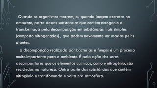 Quando os organismos morrem, ou quando lançam excretas no
ambiente, parte dessas substâncias que contêm nitrogênio é
transformada pela decomposição em substâncias mais simples
(composto nitrogenados) , que podem novamente ser usadas pelas
plantas.
a decomposição realizada por bactérias e fungos é um processo
muito importante para o ambiente. É pela ação dos seres
decompositores que os elementos químicos, como o nitrogênio, são
reciclados na natureza. Outra parte das substâncias que contém
nitrogênio é transformada e volta pra atmosfera.
 