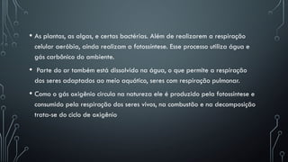• As plantas, as algas, e certas bactérias. Além de realizarem a respiração
celular aeróbia, ainda realizam a fotossíntese. Esse processo utiliza água e
gás carbônico do ambiente.
• Parte do ar também está dissolvido na água, o que permite a respiração
dos seres adaptados ao meio aquático, seres com respiração pulmonar.
• Como o gás oxigênio circula na natureza ele é produzido pela fotossíntese e
consumido pela respiração dos seres vivos, na combustão e na decomposição
trata-se do ciclo de oxigênio
 
