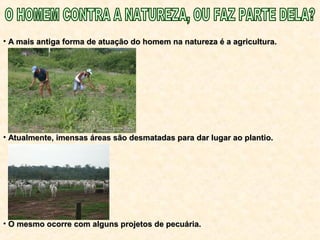 • A mais antiga forma de atuação do homem na natureza é a agricultura.A mais antiga forma de atuação do homem na natureza é a agricultura.
• Atualmente, imensas áreas são desmatadas para dar lugar ao plantio.Atualmente, imensas áreas são desmatadas para dar lugar ao plantio.
• O mesmo ocorre com alguns projetos de pecuária.O mesmo ocorre com alguns projetos de pecuária.
 
