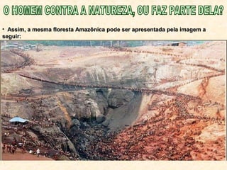 • Assim, a mesma floresta Amazônica pode ser apresentada pela imagem aAssim, a mesma floresta Amazônica pode ser apresentada pela imagem a
seguir:seguir:
 