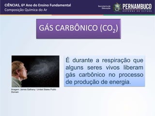 É durante a respiração que
alguns seres vivos liberam
gás carbônico no processo
de produção de energia.
CIÊNCIAS, 6º Ano do Ensino Fundamental
Composição Química do Ar
Imagem: James Gathany / United States Public
Domain
GÁS CARBÔNICO (CO2)
 