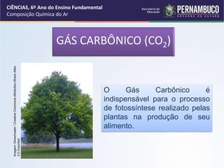 GÁS CARBÔNICO (CO2)
O Gás Carbônico é
indispensável para o processo
de fotossíntese realizado pelas
plantas na produção de seu
alimento.
CIÊNCIAS, 6º Ano do Ensino Fundamental
Composição Química do Ar
Imagem:
Derschueler
/
Creative
Commons
Attribution-Share
Alike
3.0
Unported
 