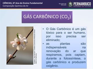 • O Gás Carbônico é um gás
tóxico para o ser humano,
por isso precisa ser
eliminado;
• as plantas são
indispensáveis na
renovação do ar que
respiramos, pois captam,
durante a fotossíntese, o
gás carbônico e produzem
oxigênio.
CIÊNCIAS, 6º Ano do Ensino Fundamental
Composição Química do Ar
Imagem:
Jörg
Hempel
/
Creative
Commons
Attribution-Share
Alike
2.0
Germany
GÁS CARBÔNICO (CO2)
 