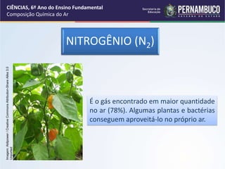 NITROGÊNIO (N2)
É o gás encontrado em maior quantidade
no ar (78%). Algumas plantas e bactérias
conseguem aproveitá-lo no próprio ar.
CIÊNCIAS, 6º Ano do Ensino Fundamental
Composição Química do Ar
Imagem:
Aldipower
/
Creative
Commons
Attribution-Share
Alike
3.0
Unported
 