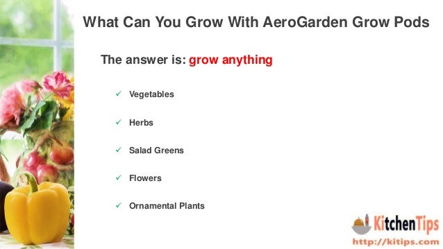 What an aerogarden and how to choose the best aerogardens
