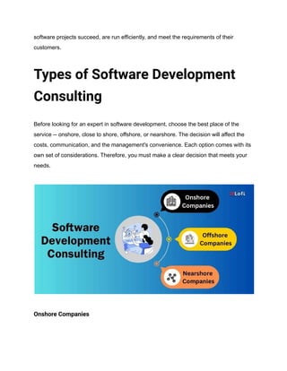 A Comprehensive Guide To Software Consulting in 2024.pdf