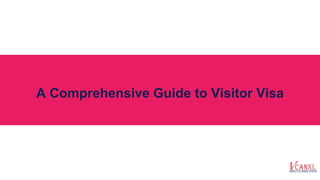 A Comprehensive Guide to Visitor Visa
 