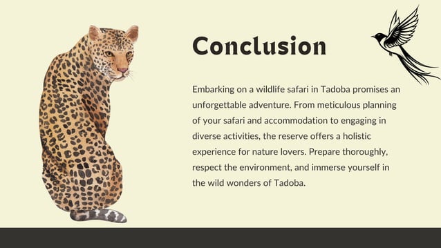 a comprehensive guide to wildlife safaris in tadoba.pdf