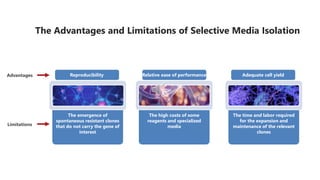 The time and labor required
for the expansion and
maintenance of the relevant
clones
The emergence of
spontaneous resistant clones
that do not carry the gene of
interest
The high costs of some
reagents and specialized
media
Reproducibility Relative ease of performance Adequate cell yield
The Advantages and Limitations of Selective Media Isolation
Advantages
Limitations
 