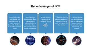 The Advantages of LCM
Depending on the
laser voltage and
tissue structure, as
many as several
thousands of cells can
be collected in a short
period
A wide range of
tissues can be
subjected to LCM
LCM microscope and
platforms are easy to
operate and can be
easily synergized with
other assays
LCM collected cells
can be successfully
used for downstream
assays requiring
functionally active
nucleic acids and
proteins.
Due to the high
precision laser beams,
the damage to
adjacent tissues is
minimal, and one
tissue section can be
probed several times
 