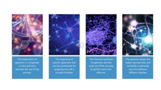The preparation of
aptamers is completely
in vitro and thus
obviates the use of live
animals.
The repertoire of
specific aptamers that
can be synthesized for
targeting any cell is
virtually limitless.
The chemical synthesis
of aptamers and the
scale-out PCRs are easy
to perform and cost-
effective.
The aptamer assays are
highly reproducible, and
variability is generally
very low between
different batches.
 