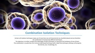 Certain cell isolation techniques make use of more than one cell characteristic (as classified above) and are therefore
the combination of at least two different techniques.
The objective is to either combine the advantages of both techniques or overcome the limitations of one of them.
The combination is usually that of an immuno-label-based technique with a label-free technique utilizing a cell property
like density, size, morphology, etc.
Combination Isolation Techniques
 