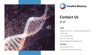 USA
Address: SUITE 115, 17 Ramsey Road, Shirley, NY
11967, USA
Tel: 1-631-626-9181
Fax: 1-631-614-7828
info@creative-bioarray.com
Europe
Tel: 44-208-123-7131
info@creative-bioarray.com
Email: info@creative-bioarray.com
Email: info@creative-bioarray.com
Contact Us
 