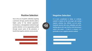 Due to the use of specific antibodies targeting
a particular cell type, positive selection yields a
higher purity of the desired population.
Furthermore, a cell population isolated through
positive selection can be sequentially purified
through several cycles of the procedure, a
benefit that negative selective cannot provide.
Positive Selection Negative Selection
It is more complicated to design an antibody
cocktail to deplete all the non-target cells making
negative selection less efficient vis-à-vis purity.
Positively selected cells carry antibodies and other
labeling agents that may interfere with downstream
culture and assays – if that is a concern, it is
preferable to use a negative selection method.
VS
 