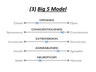 (3) Big 5 Model
 