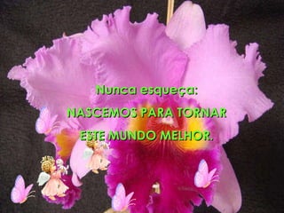 Nunca esqueça: NASCEMOS PARA TORNAR  ESTE MUNDO MELHOR. 