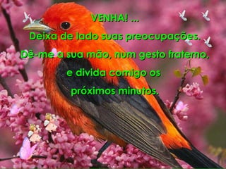 VENHA! ... Deixa de lado suas preocupações. Dê-me a sua mão, num gesto fraterno, e divida comigo os  próximos minutos. 
