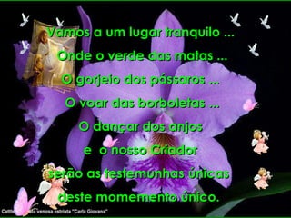 Vamos a um lugar tranquilo ... Onde o verde das matas ... O gorjeio dos pássaros ...  O voar das borboletas ... O dançar dos anjos e  o nosso Criador serão as testemunhas únicas  deste momemento único.  