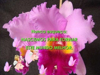 Nunca esqueça: NASCEMOS PARA TORNAR  ESTE MUNDO MELHOR. 