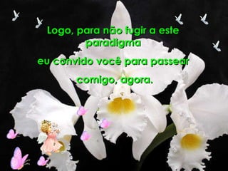 Logo, para não fugir a este paradigma eu convido você para passear comigo, agora. 