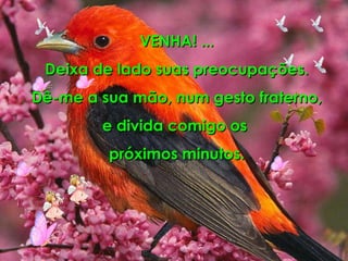 VENHA! ... Deixa de lado suas preocupações. Dê-me a sua mão, num gesto fraterno, e divida comigo os  próximos minutos. 