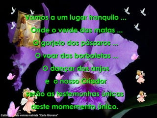 Vamos a um lugar tranquilo ... Onde o verde das matas ... O gorjeio dos pássaros ...  O voar das borboletas ... O dançar dos anjos e  o nosso Criador serão as testemunhas únicas  deste momemento único.  