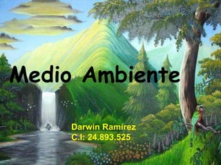 Medio Ambiente
Darwin Ramírez
C.I: 24.893.525
 