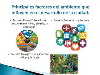  Factores físicos: Entre ellos se
encuentran el Clima, el suelo, la
vegetación.
 Factores Biológicos: Se encuentra
la flora y la fauna.
 Factores Económicos y Sociales.
 