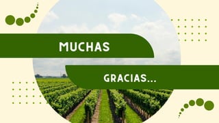MUCHAS
GRACIAS...
 