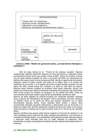 Lic. Mercedes Llano Ruiz 7
Johnson (1985): "Modelo de agresiones-daños, ¿envejecimiento fisiológico o
patológico?"
Otra de estas teorías es la "Teoría de los enlaces cruzados". Algunos
componentes celulares altamente reactivos en forma de átomos o moléculas, tienen
químicamente activas zonas que pueden unirse al ADN dentro de la célula. Cuando
uno de estos enlaces cruzados se unen a una hebra del ADN, los mecanismos de
defensa del cuerpo cortan la zona corrupta de ADN, (donde el agente está conectado).
Después, repara la hebra usando otra hebra de la hélice. Pero si el proceso de
reparación es muy lento, o si el agente del enlace cruzado también conecta con otra
hebra del ADN, ambas zonas son cortadas y el daño es más difícil de reparar.
Mientras estos enlaces cruzados se producen entre estas moléculas, forman una
especie de maraña que impide el transporte intracelular de nutrientes y de información.
Esto ocurre porque los enlaces se producen en las hebras del ADN, zonas de
comunicación para estas células, produciendo considerables cambios en ellas.
Muchos de estos agentes de enlaces-cruzados son moléculas llamadas radicales
libres, producto del metabolismo del oxígeno. Estos compuestos químicos contienen
un electrón impar en su órbita de forma que pueden reaccionar con el tejido
provocándole grandes daños. Estos radicales libres oxidan y atacan otros
componentes celulares causando alteraciones y disfunciones que se acumulan a lo
largo de nuestra vida. Muchas agresiones celulares terminan por matar a las células,
hecho frecuente a medida que la edad aumenta. Esta es la "Teoría de los radicales
libres".
Agunos científicos que apoyan estas teorías sugieren el consumo de vitamina C y E
como estrategia para la reducción de estos radicales del organismo, y así disminuir la
velocidad de envejecimiento. Las propiedades antioxidantes de estas vitaminas atacan
y destruyen estos radicales para que no sigan dañando el organismo. Pero
actualmente no están comprobados los efectos de este método anti-envejecimiento en
humanos.
MICROAGRESIONES
. Físicas: calor, UV, radiaciones,...
. Químicas: toxinas, radicales libres,...
. Infecciones: virus mutagénicos,...
. Mecánicos: traumatismos de articulaciones, huesos,...
DAÑOS EN CÉLULAS
Y
TEJIDOS
CONECTIVOS
FALLO DEL
SISTEMA
PÉRDIDA DE
FUNCIONALIDAD
REPARAR
 