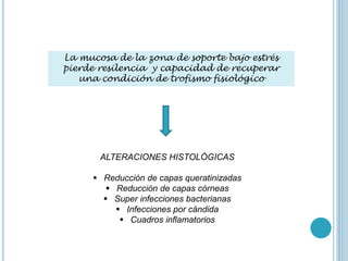 La mucosa de la zona de soporte bajo estrés
pierde resilencia y capacidad de recuperar
una condición de trofismo fisiológico
ALTERACIONES HISTOLÓGICAS
 Reducción de capas queratinizadas
 Reducción de capas córneas
 Super infecciones bacterianas
 Infecciones por cándida
 Cuadros inflamatorios
 