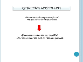 EJERCICIOS MUSCULARES
•Músculos de la expresión facial
•Músculos de la masticación
•Funcionamiento de la ATM
•Mantenimiento del contorno facial
 