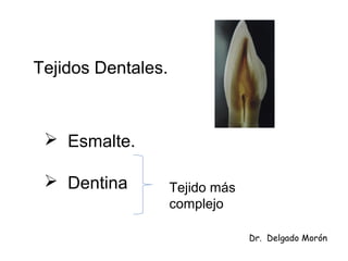 Tejidos Dentales.
 Esmalte.
 Dentina Tejido más
complejo
Dr. Delgado Morón
 