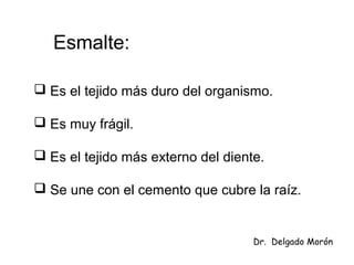 Esmalte:
 Es el tejido más duro del organismo.
 Es muy frágil.
 Es el tejido más externo del diente.
 Se une con el cemento que cubre la raíz.
Dr. Delgado Morón
 