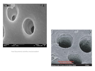 Foto Documento científico Ivoclarvivadent
 